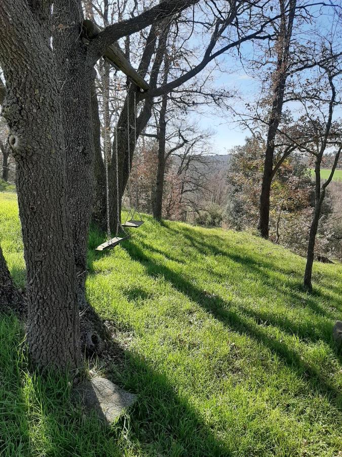 Allotjament Rural Solsona Eksteriør billede