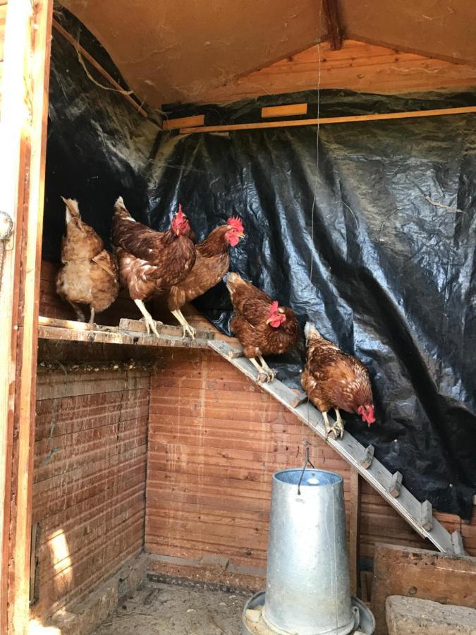 Allotjament Rural Solsona Eksteriør billede
